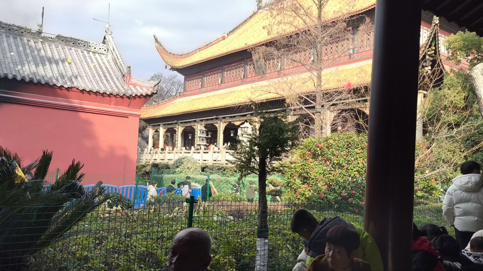 我的生活照片34